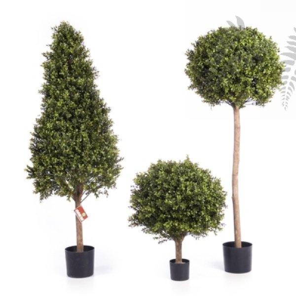 BOXWOOD BALL 50 cm 44550N